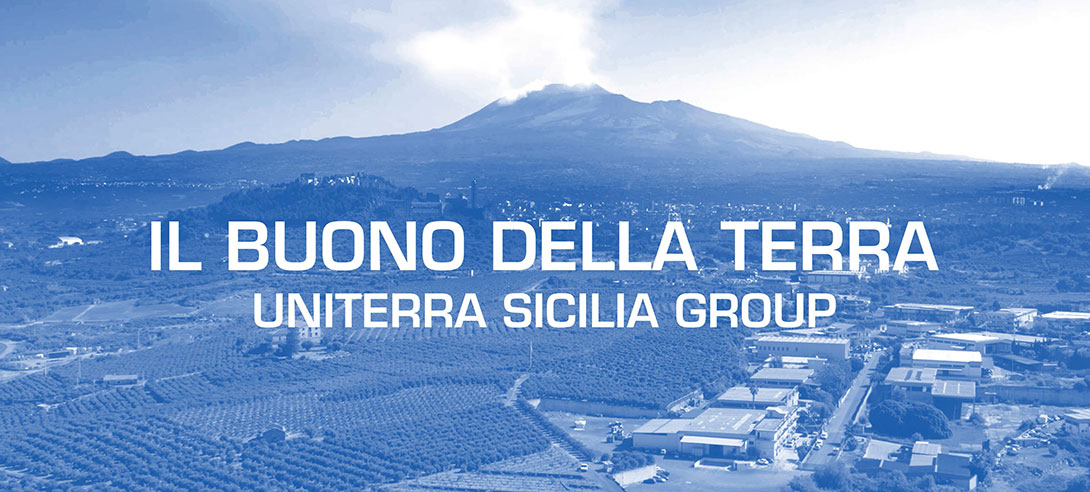 La società