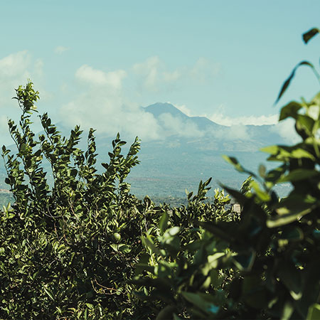 Il territorio, l'Etna