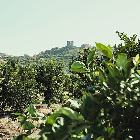 Il territorio, la collina e il castello Normanno